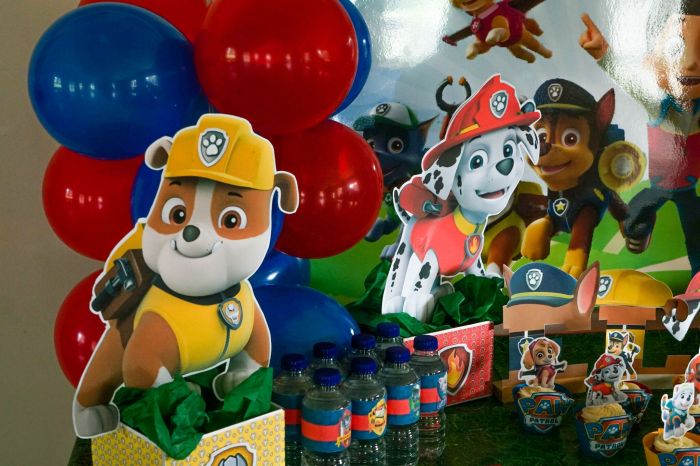 Paw patrol geburtstag deko